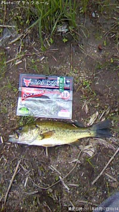 �֥�å��Х�