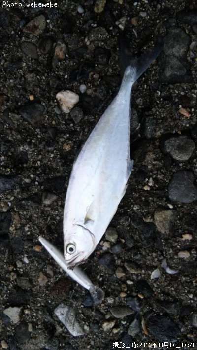 �������ĥ�