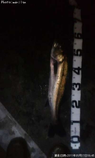 �����Х�