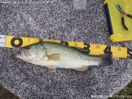 �֥�å��Х�