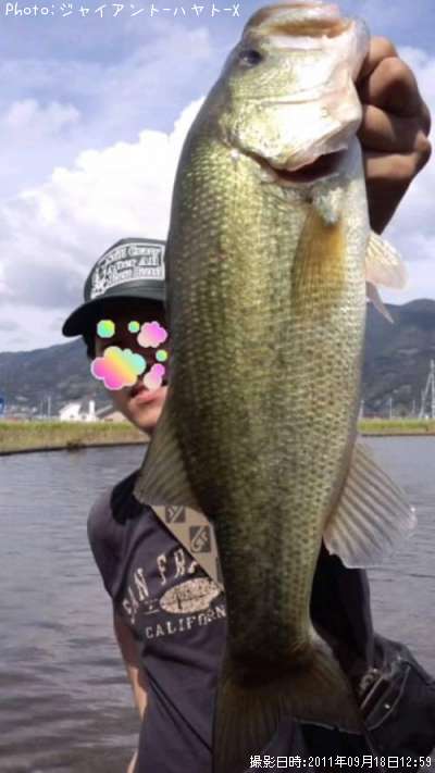 �֥�å��Х�