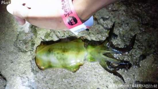 �����ꥤ��