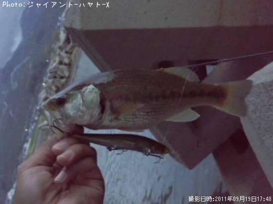 �֥�å��Х�