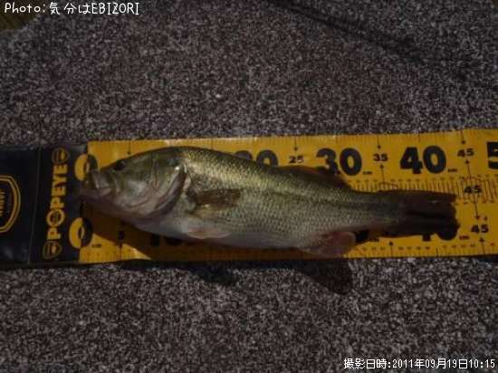 �֥�å��Х�