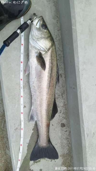 �����Х�