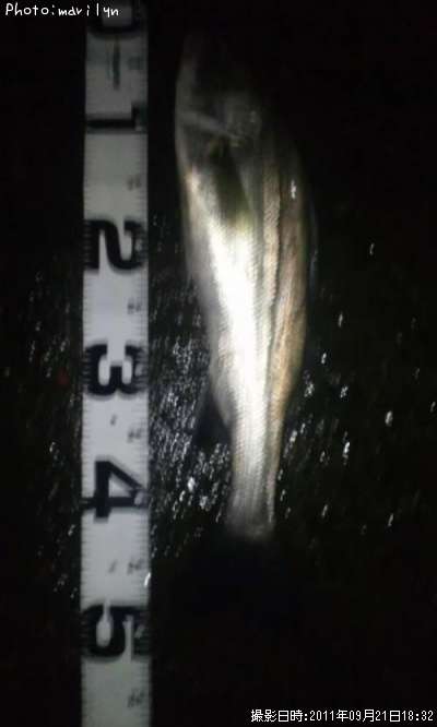 �����Х�