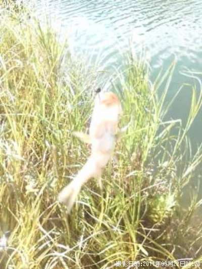 �֥�å��Х�