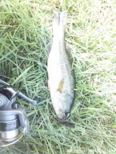 �֥�å��Х�