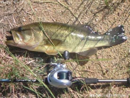 �֥�å��Х�