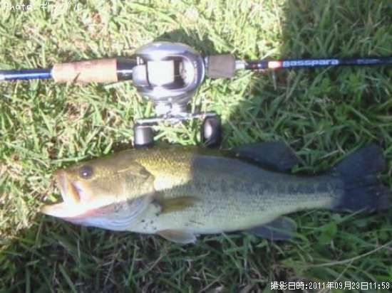 �֥�å��Х�