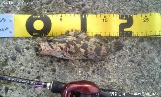 �����Υ���Х�