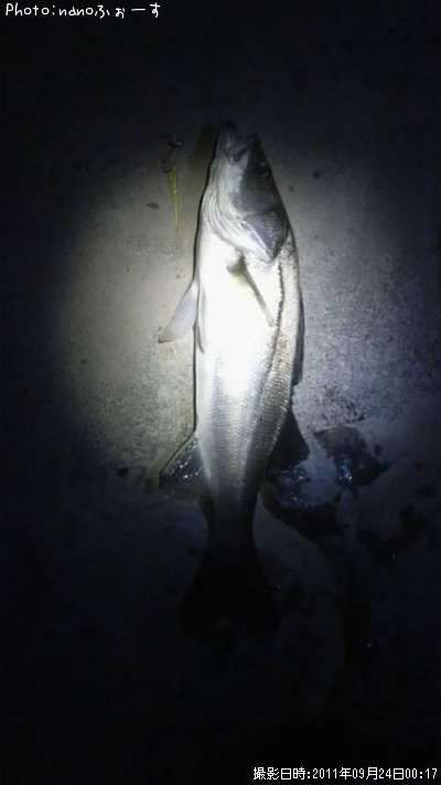 �����Х�