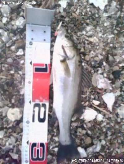 �����Х�