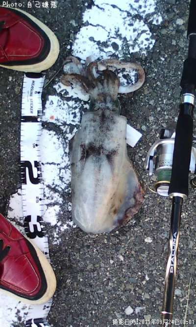 �����ꥤ��