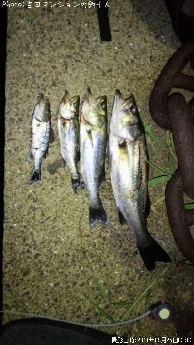 �����Х�