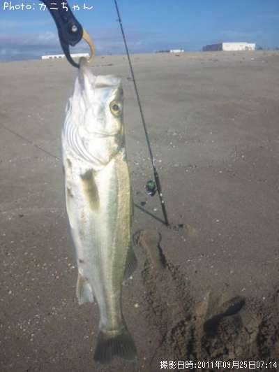 �����Х�