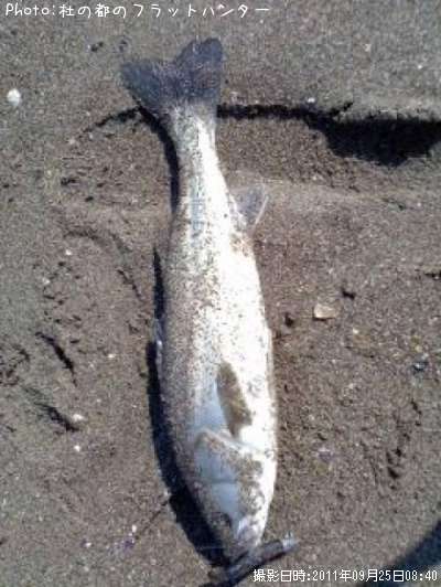 �����Х�