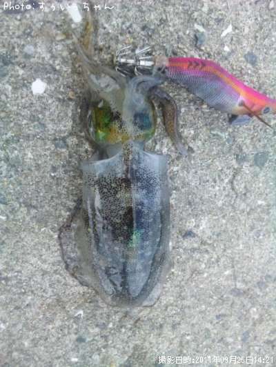 �����ꥤ��