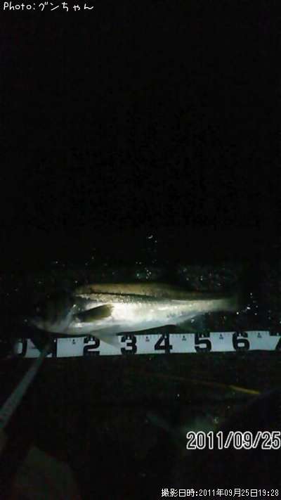 �����Х�