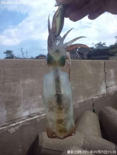 �����ꥤ��