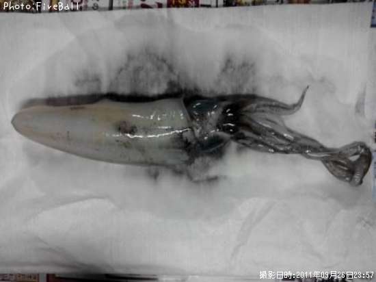 �����ꥤ��