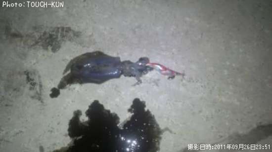 �����ꥤ��