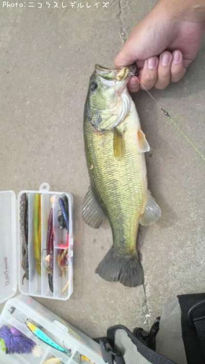 �֥�å��Х�