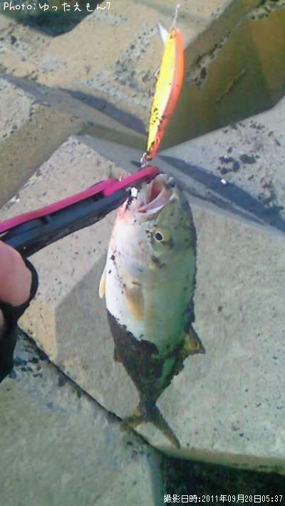 �參���ʾС�