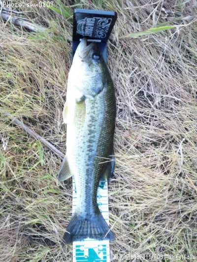 �֥�å��Х�