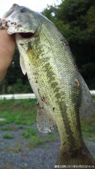 �֥�å��Х�