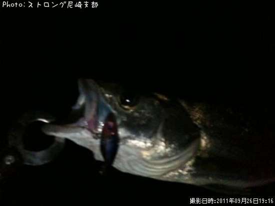 �����Х�