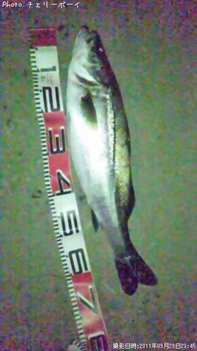 �����Х�