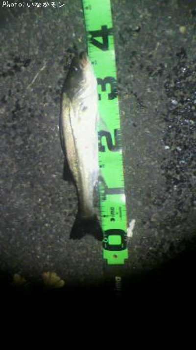 �����Х�