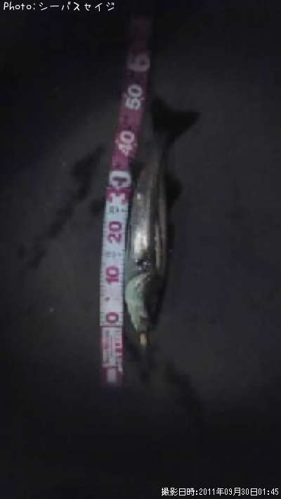 �����Х�