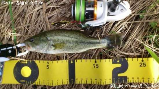 �֥�å��Х�