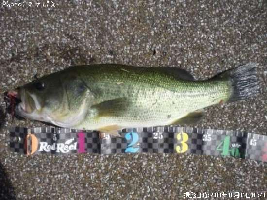 �֥�å��Х�