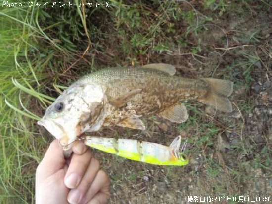 �֥�å��Х�