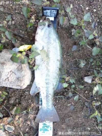 �֥�å��Х�