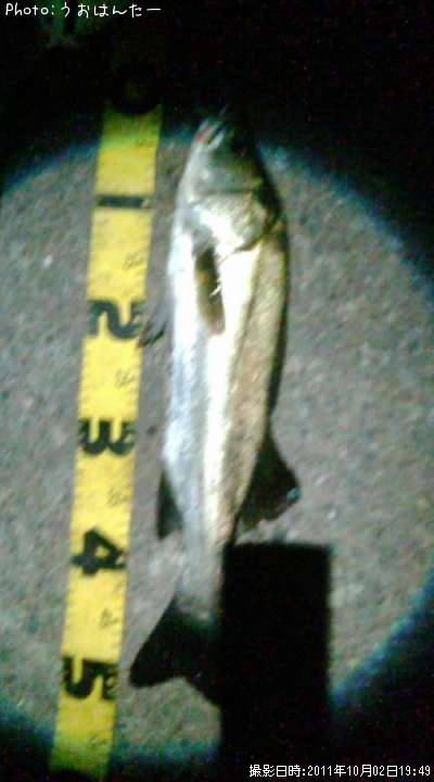 �����Х�