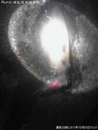 �����ꥤ��