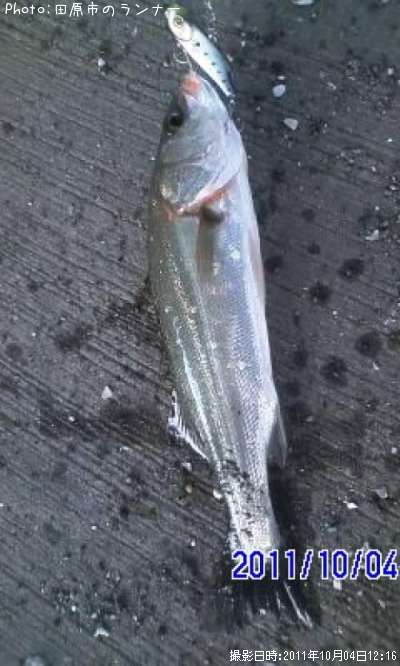 �����Х�