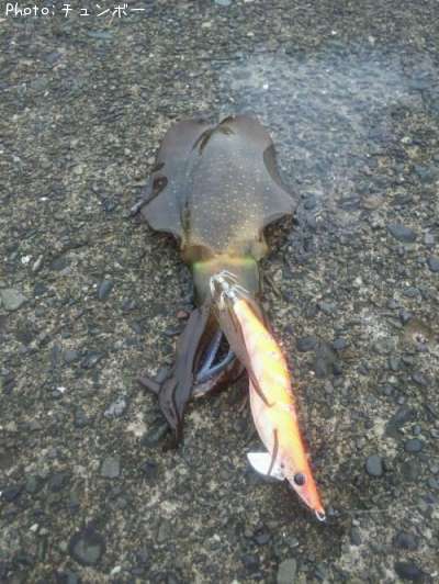 �����ꥤ��