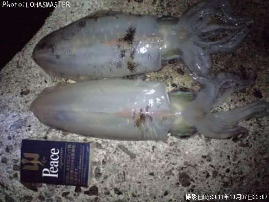 �����ꥤ��