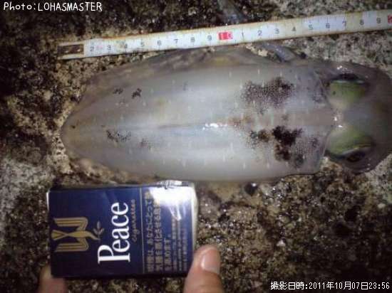 �����ꥤ��