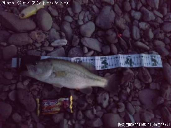 �֥�å��Х�