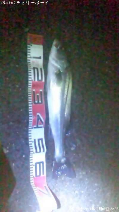 �����Х�