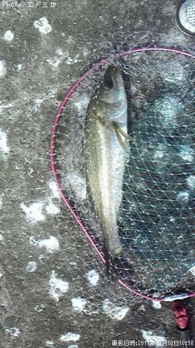 �����Х�