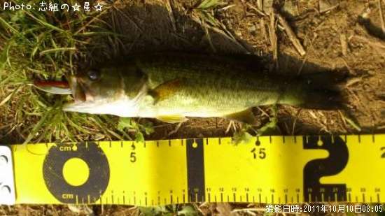 �֥�å��Х�