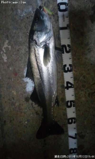 �����Х�