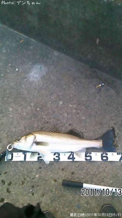 �����Х�